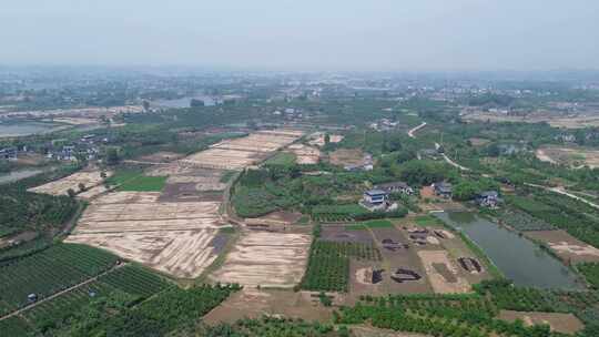 四川乡村土地田野