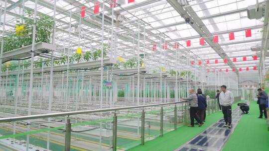 现代化温室大棚-科技农业