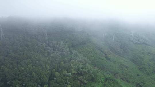 深圳塘朗山云雾航拍