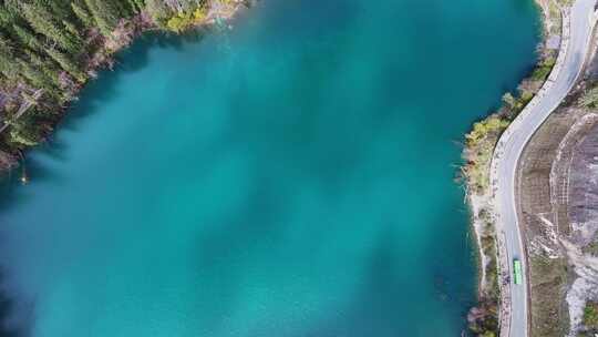 航拍九寨沟秋景彩林川西秋天原始森林五花海