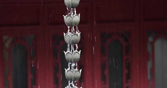 （慢镜）中国杭州灵隐寺下雨天串枝莲