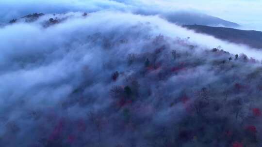 4K秋天五花山吉林东北秋景日出云海云雾逆光