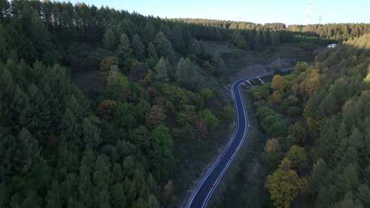 森林公路  航拍开车 航拍 山林驾驶汽车 4k