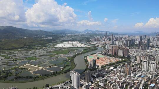 深圳河 水系 香港 交界处 水塘 红树林 湿地视频素材模板下载