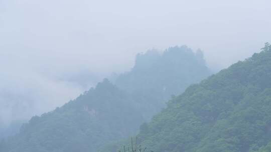 乡村 自然 溪流 村庄 航拍 蜂巢 森林