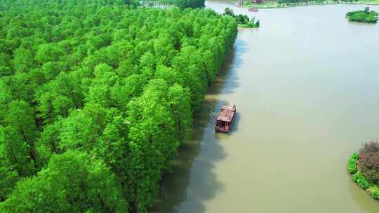 湖北仙桃梦里水乡池杉风景素材