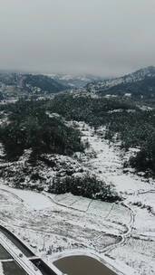 冬天水田雪景竖屏航拍