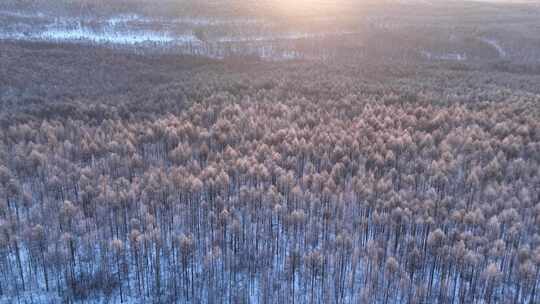 林海雪原唯美阳光雾凇