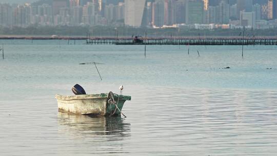 香港瞭望深圳视频深圳湾