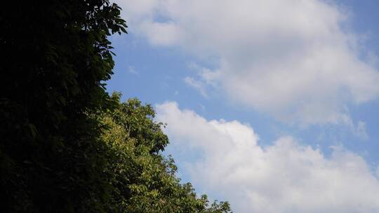 杭州飞来峰永福寺禅院风景