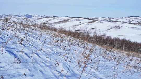 冬季内蒙古乌兰布统蓝天白云雪景航拍