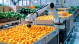 现代化工厂水果加工 智能自动化生产线工业高清在线视频素材下载