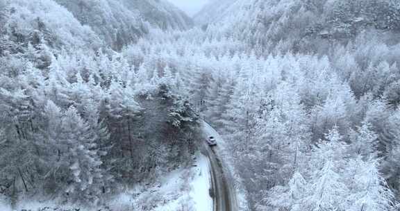 秦岭雪景航拍自然风光合集（多视角长视频）