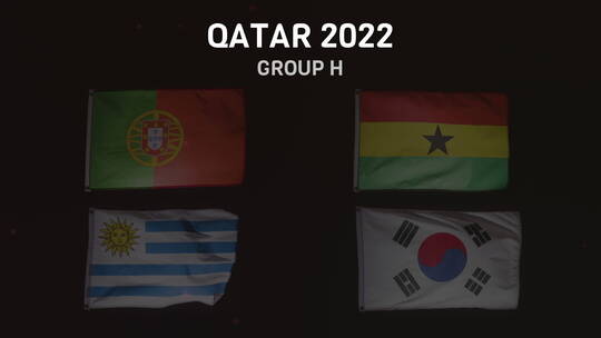 卡塔尔足球世界杯H组球队旗帜视频素材模板下载
