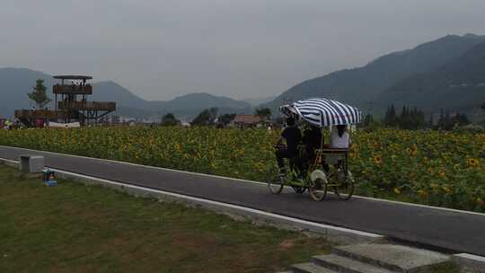 浙江瑞安曹村镇风光