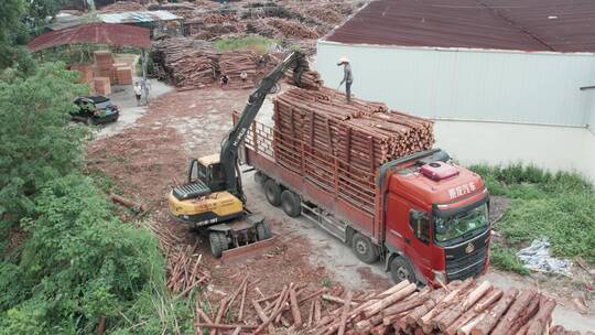 伐木木场加工装车木头原木滥砍滥发保护