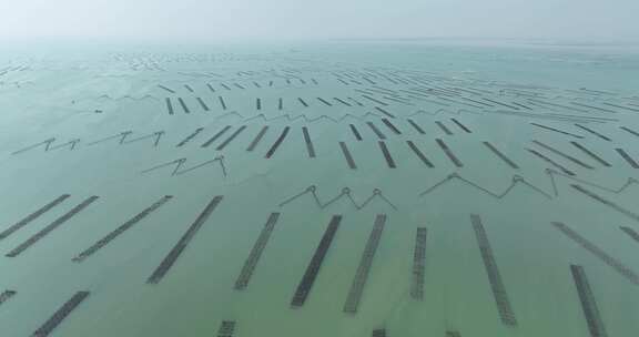 5K超清海上养殖基地航拍