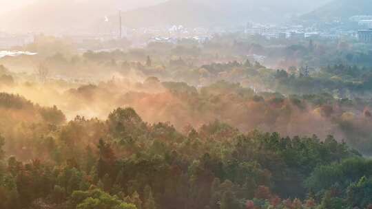 杭州秋天 西溪湿地 手摇船 湿地博物馆