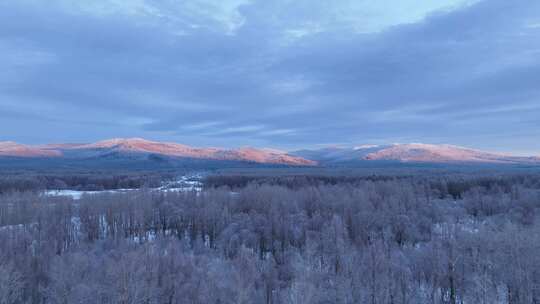 航拍大兴安岭黎明林海雪原