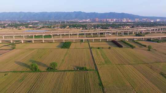 穿越麦田的高铁动车航拍 成熟麦田