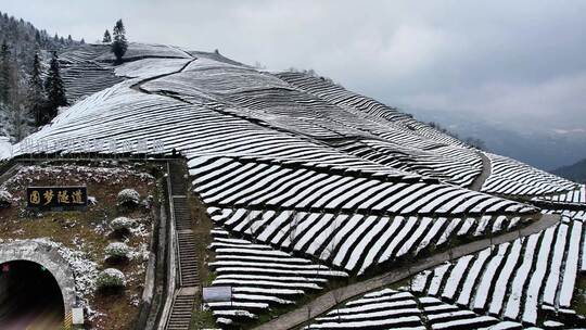 大自然寒潮冬天下雪的村庄田野航拍风景