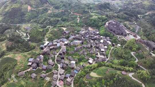 仙人山景区布央茶园航拍