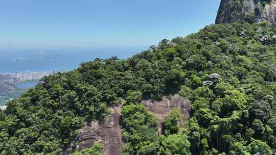 著名的大西洋森林在市中心里约热内卢巴西。