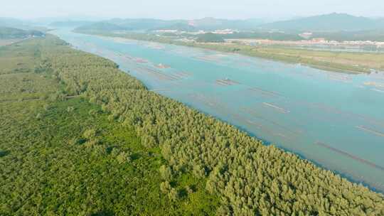 广东江门_镇海湾红树林湿地公园航拍009