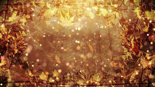 抽象秋天落叶背景