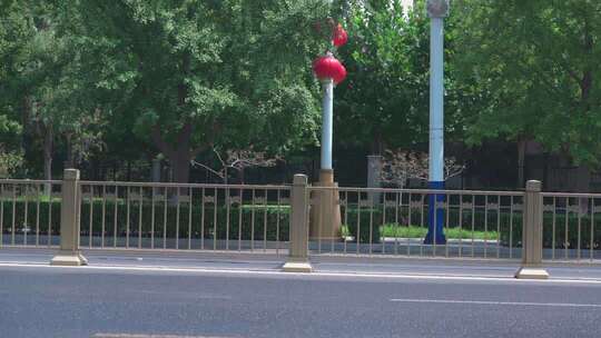 街道护栏旁的绿树与红灯笼