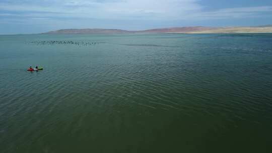 泻湖，鸟，水，群