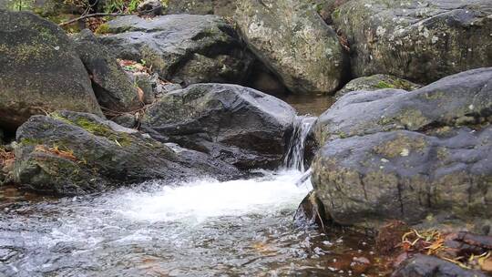 森林山泉溪水河流