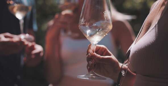 葡萄园，葡萄酒，品尝，夏季