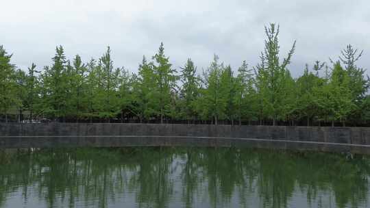 绵阳北川广场纪念碑附近水池与银杏林