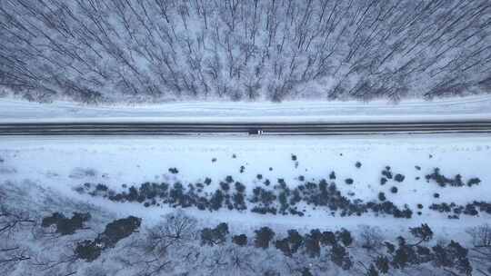 冬季森林里雪地公路上行驶的汽车