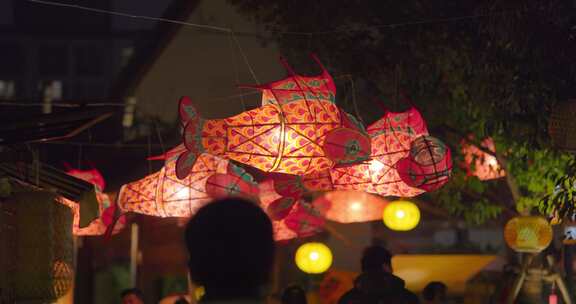 鱼灯笼花灯春节新年节日夜晚上海蟠龙天地