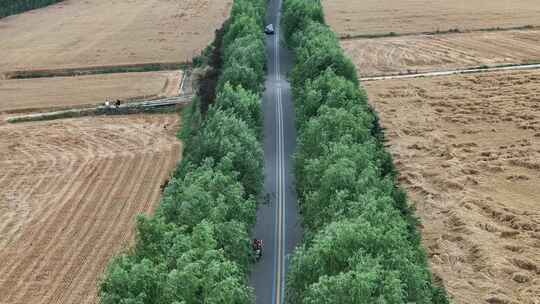 农村公路交通汽车行驶航拍