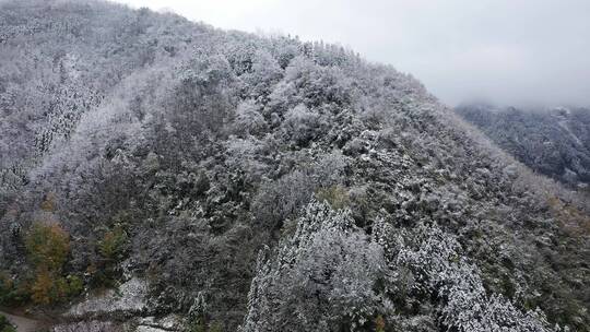 航拍重庆大巴山冬季雪山冰雪风光雪景