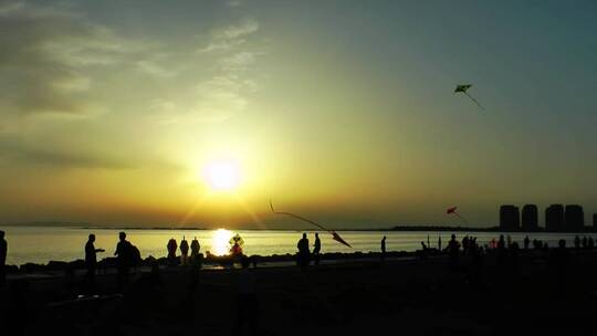 日落时海滩上的风筝视频素材模板下载
