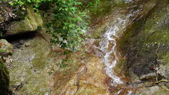 森林流水大自然小溪水瀑布山涧水源泉水山水