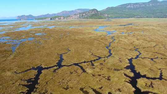 芦苇三角洲滨海空中沼泽湿地和湖泊