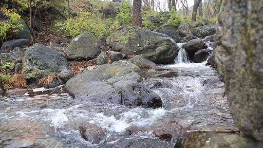 森林山泉溪水河流