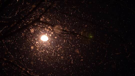 下雪枯叶路灯情绪空镜