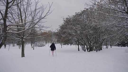 在雪地公园散步的人