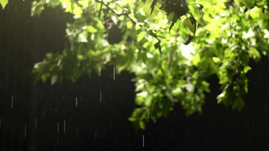 城市夏季雨天降水唯美空镜头