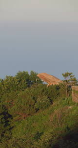 中国山东泰安泰山山顶风景风景区云海