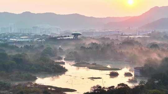 杭州秋天 西溪湿地 手摇船 湿地博物馆