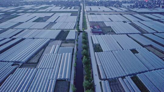 航拍大型农场田地自然风景