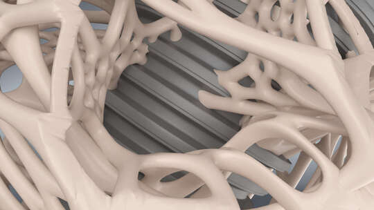 牙齿咬合力 种植牙  牙齿种植体