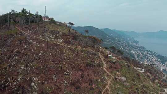 建筑，森林，树木，环境破坏